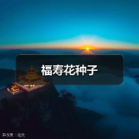 福寿花种子(图2) 福寿花种子(图2)