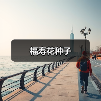 福寿花种子（图1）