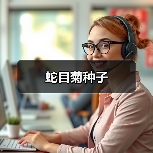 蛇目菊种子（图4）