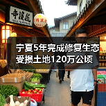 宁夏5年完成修复生态受损土地120万公顷(图4) 宁夏5年完成修复生态受损土地120万公顷(图4)