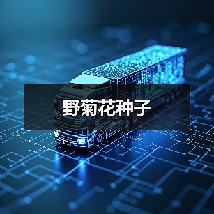野菊花种子（图1）