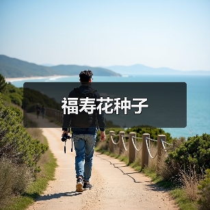 福寿花种子（图4）