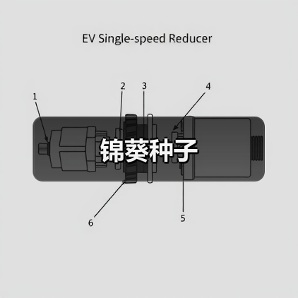 锦葵种子(图2) 锦葵种子(图2)