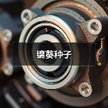 锦葵种子(图4) 锦葵种子(图4)