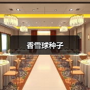 香雪球种子（图4）