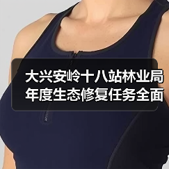 大兴安岭十八站林业局年度生态修复任务全面完成(图1) 大兴安岭十八站林业局年度生态修复任务全面完成(图1)