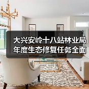 大兴安岭十八站林业局年度生态修复任务全面完成(图4) 大兴安岭十八站林业局年度生态修复任务全面完成(图4)