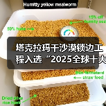 塔克拉玛干沙漠锁边工程入选“2025全球十大工程成就”(图2) 塔克拉玛干沙漠锁边工程入选“2025全球十大工程成就”(图2)