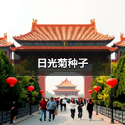日光菊种子（图4）