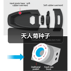 天人菊种子(图3) 天人菊种子(图3)