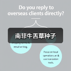 南非牛舌草种子（图2）