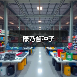 康乃馨种子（图1）