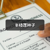 半枝莲种子(图4) 半枝莲种子(图4)
