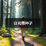 日光菊种子(图3) 日光菊种子(图3)