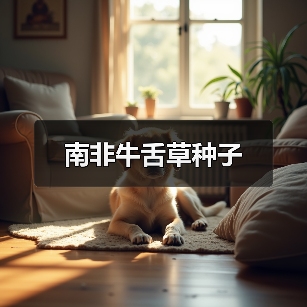 南非牛舌草种子(图3) 南非牛舌草种子(图3)