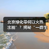 北京绿化带何以火热“出圈”？揭秘“一路生花”背后的城市生态建设（图1）