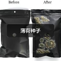 薄荷种子（图3）