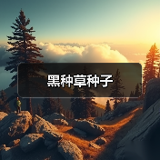 黑种草种子(图2) 黑种草种子(图2)