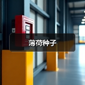 薄荷种子（图4）
