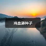 鸡血藤种子（图4）
