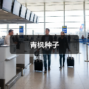 青枫种子(图3) 青枫种子(图3)