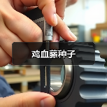 鸡血藤种子(图3) 鸡血藤种子(图3)