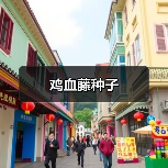 鸡血藤种子（图1）