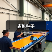 青枫种子