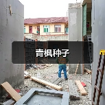 青枫种子（图4）