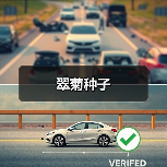 翠菊种子（图1）