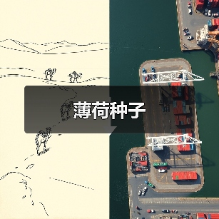 薄荷种子（图1）