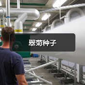 翠菊种子（图4）