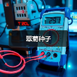 翠菊种子(图2) 翠菊种子(图2)