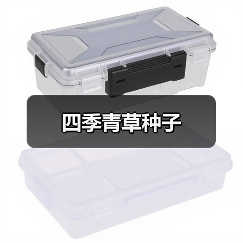 四季青草种子（图2）