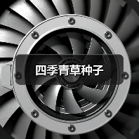 四季青草种子（图4）