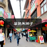 早熟禾种子（图4）