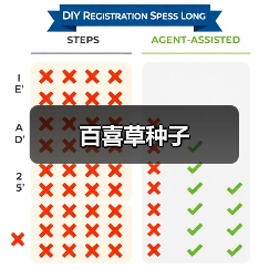 百喜草种子（图2）