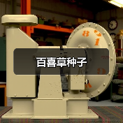 百喜草种子（图3）