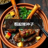 剪股颖种子（图4）