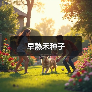 早熟禾种子（图2）