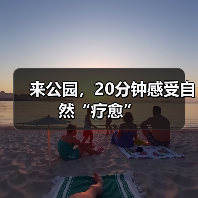 来公园,20分钟感受自然“疗愈”(图4) 来公园,20分钟感受自然“疗愈”(图4)