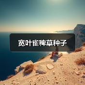 宽叶雀稗草种子(图3) 宽叶雀稗草种子(图3)