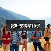 宽叶雀稗草种子(图4) 宽叶雀稗草种子(图4)