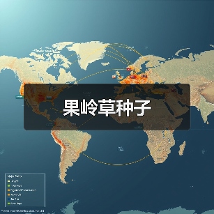 果岭草种子（图1）