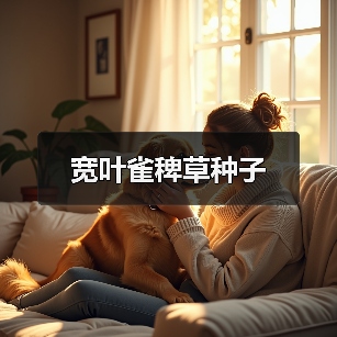 宽叶雀稗草种子(图2) 宽叶雀稗草种子(图2)
