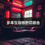 多年生宿根野花组合（图1）