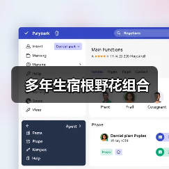 多年生宿根野花组合（图3）