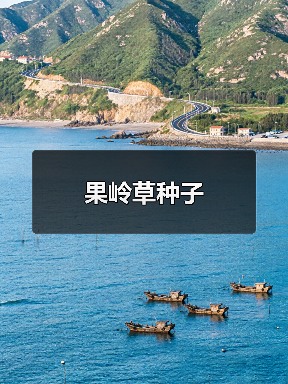 果岭草种子（图4）