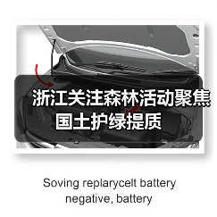 浙江关注森林活动聚焦国土护绿提质（图4）