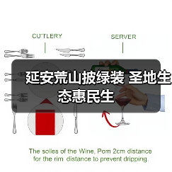 延安荒山披绿装 圣地生态惠民生（图4）
